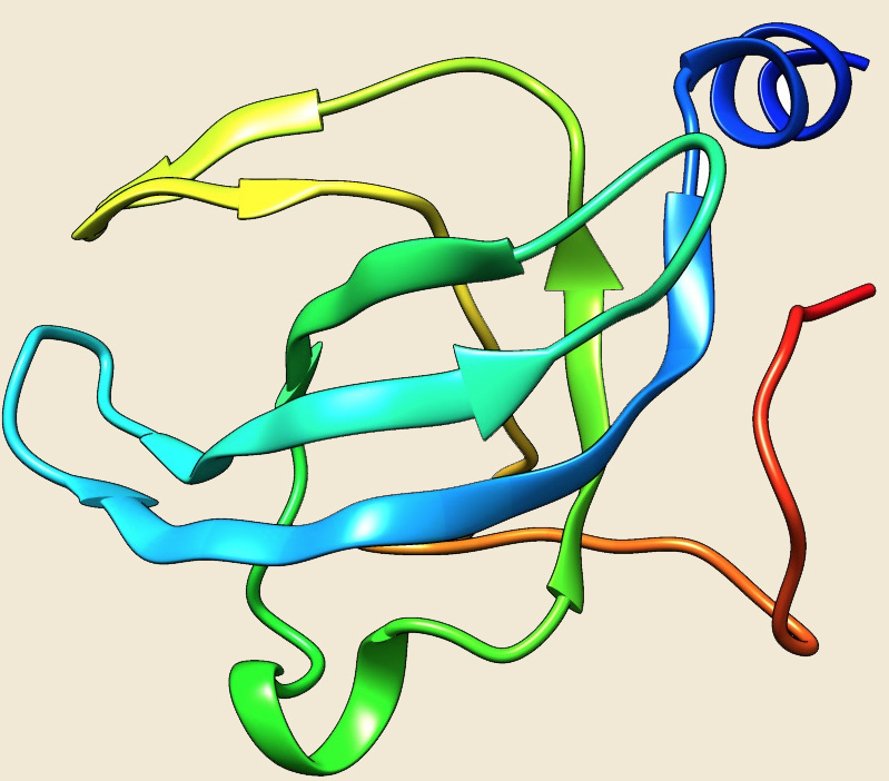 hsp70