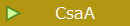 CsaA