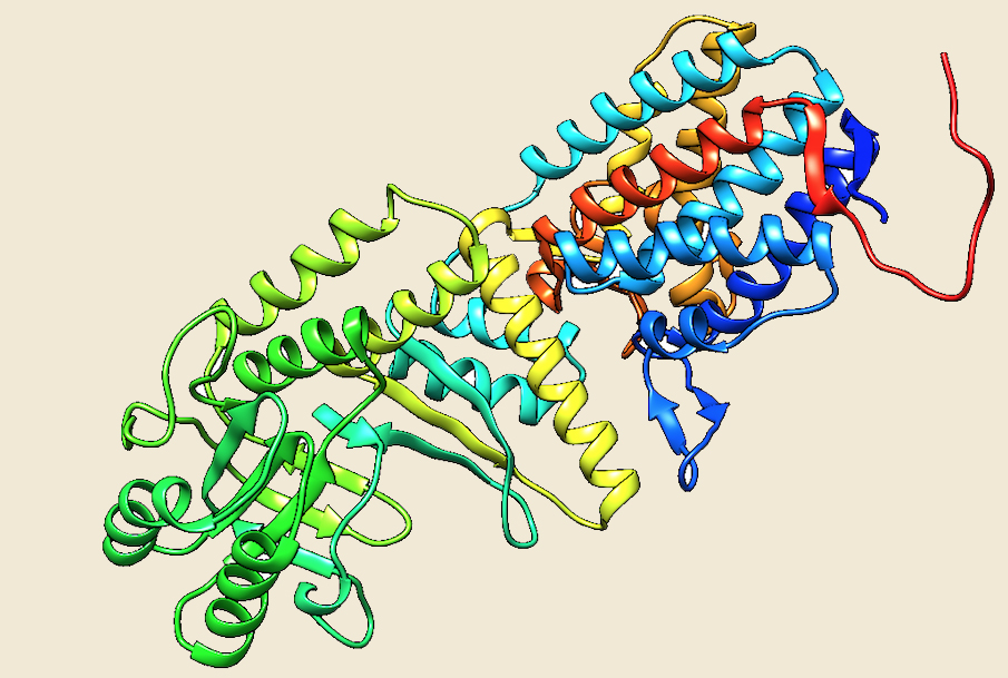 hsp70