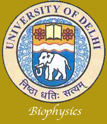 top logo